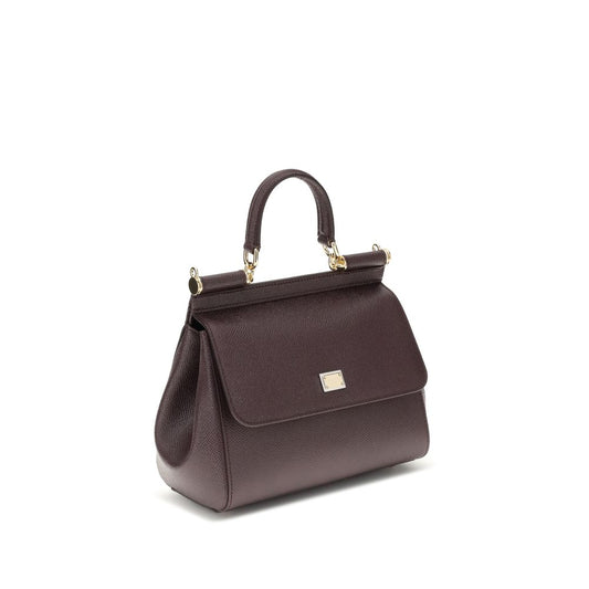 Dolce & Gabbana Brown Calf Leather Bos Taurus Handbag
