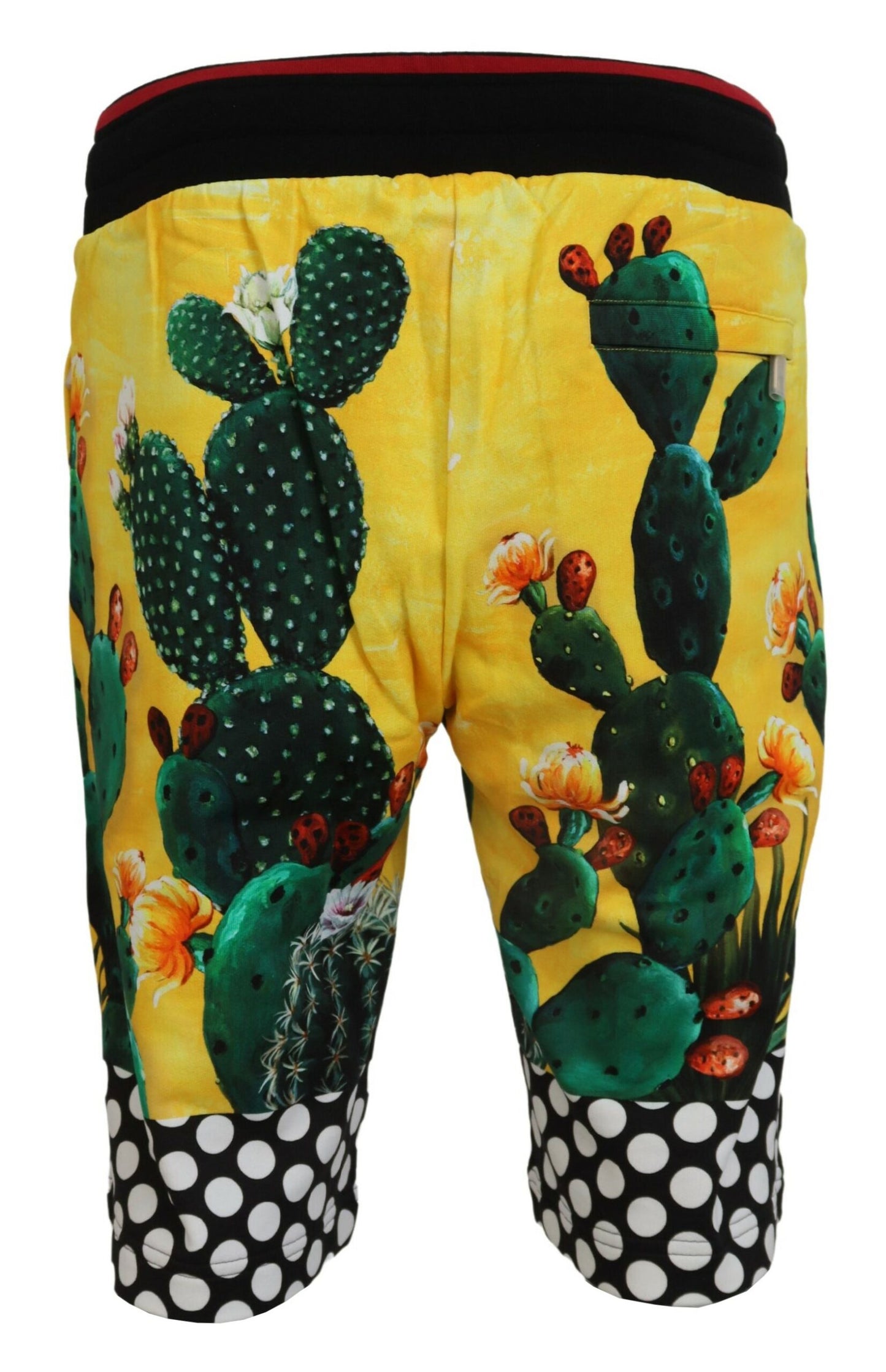 Dolce & Gabbana – Mehrfarbige Sweatshorts aus Baumwolle mit Kaktus-Print