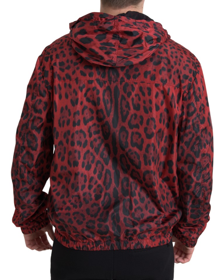 Dolce & Gabbana – Bomberjacke mit Kapuze und durchgehendem Reißverschluss in Rot mit Leopardenmuster
