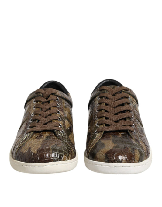 Dolce & Gabbana Braune exotische Leder Low Top Sneakers Schuhe