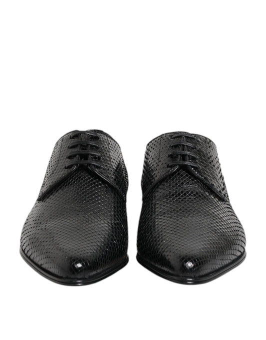 Dolce & Gabbana – Derby-Schnürschuhe aus exotischem Leder in Schwarz