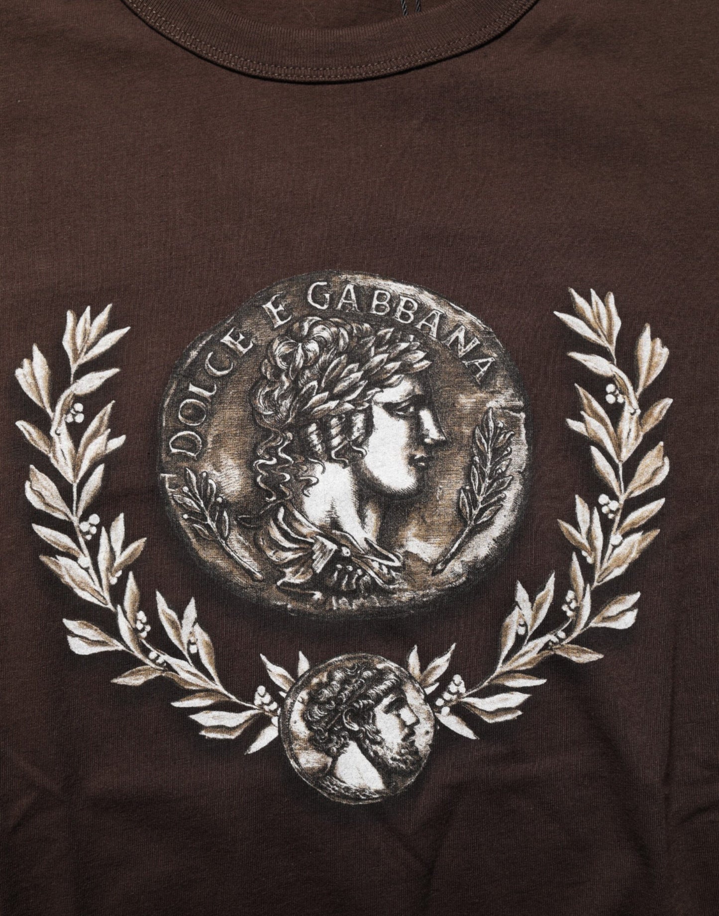 Dolce & Gabbana – Braunes T-Shirt mit Rundhalsausschnitt und Lorbeer-Print für Herren