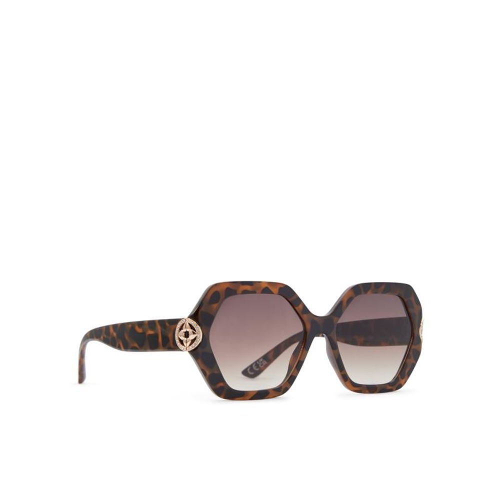 ALDO Brown Polycarbonate Sunglasses