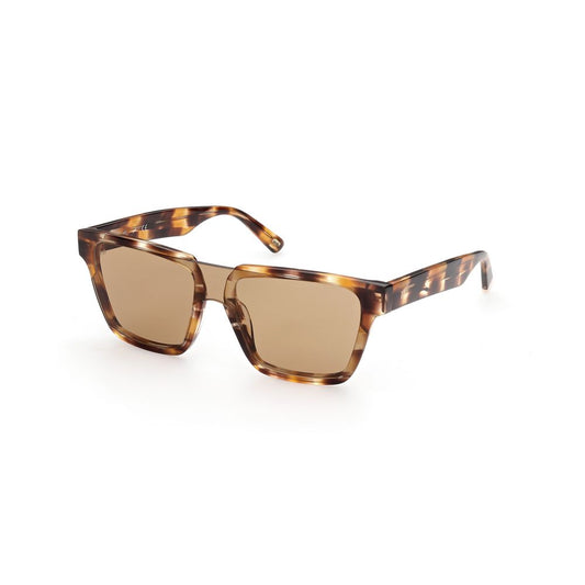 WEB EYEWEAR Bicolor Plastic Sunglasses