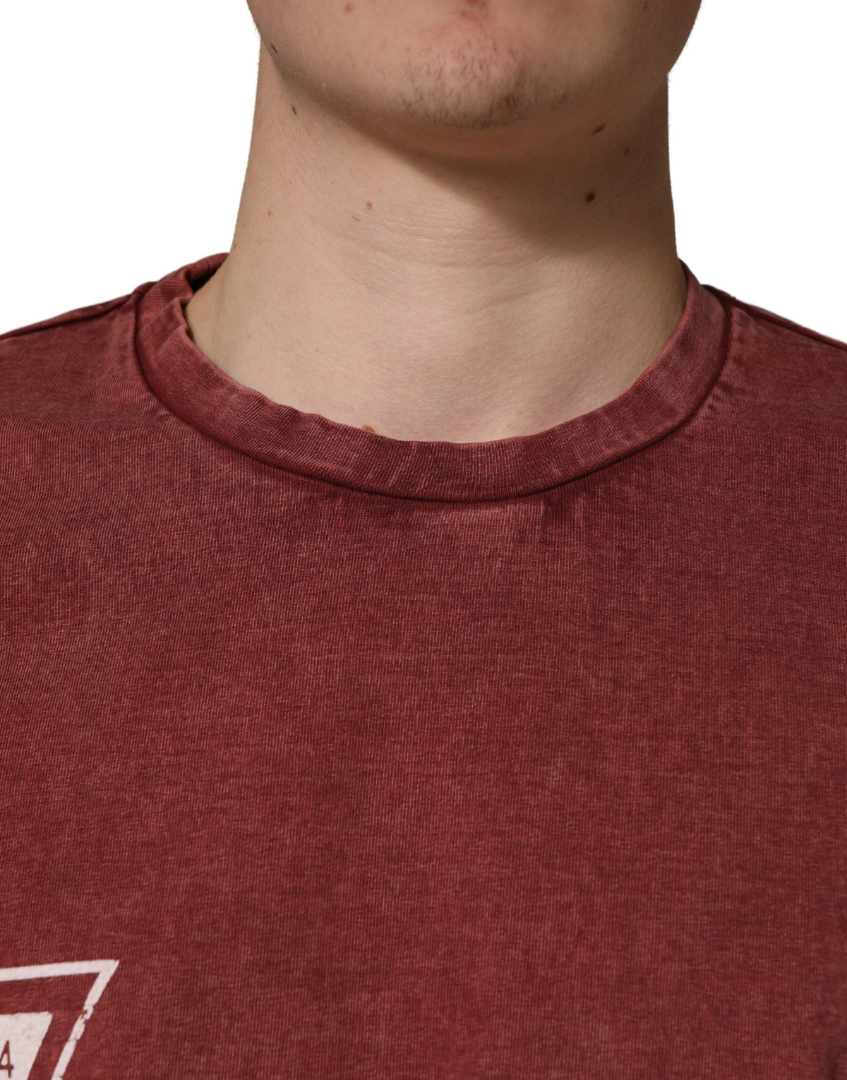 Dolce & Gabbana Rundhals-T-Shirt mit maronfarbenem Print und kurzen Ärmeln