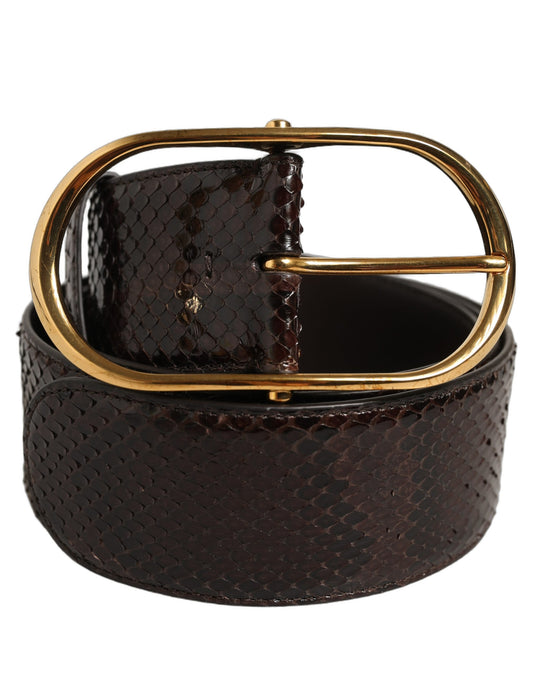 Dolce & Gabbana Brown Python Leather Gold Metal Buckle Belt