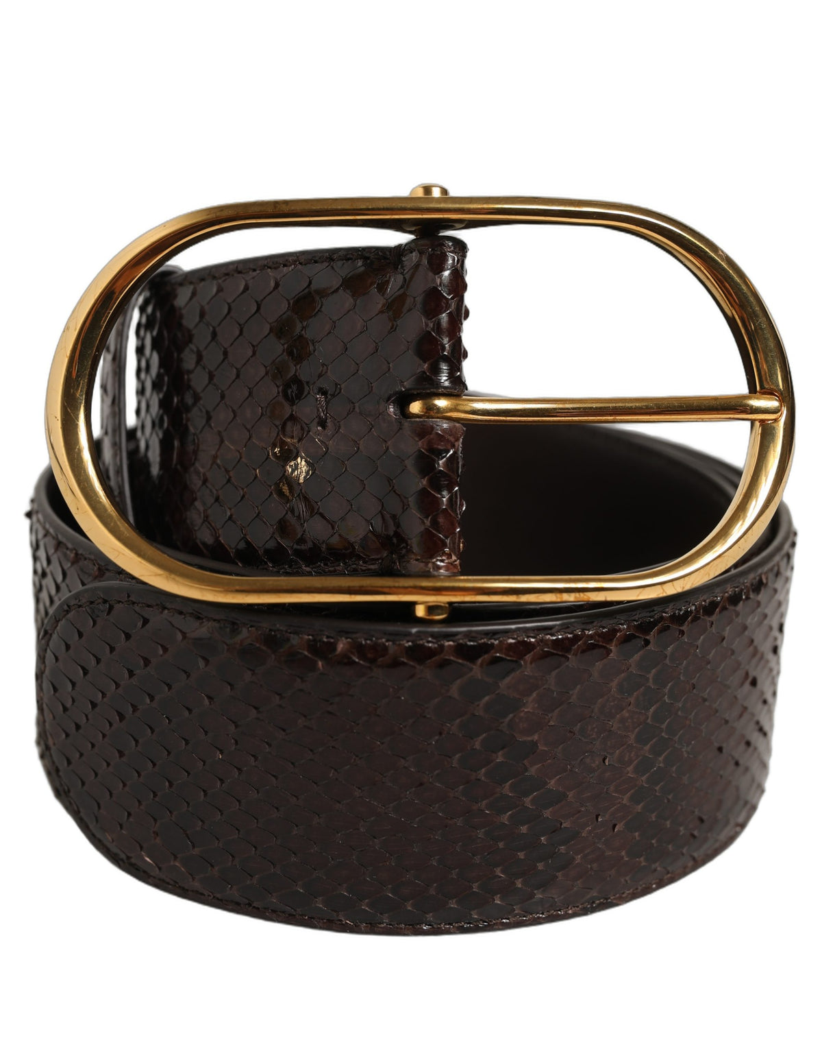 Dolce & Gabbana Brauner Pythonleder-Gürtel mit goldener Metallschnalle