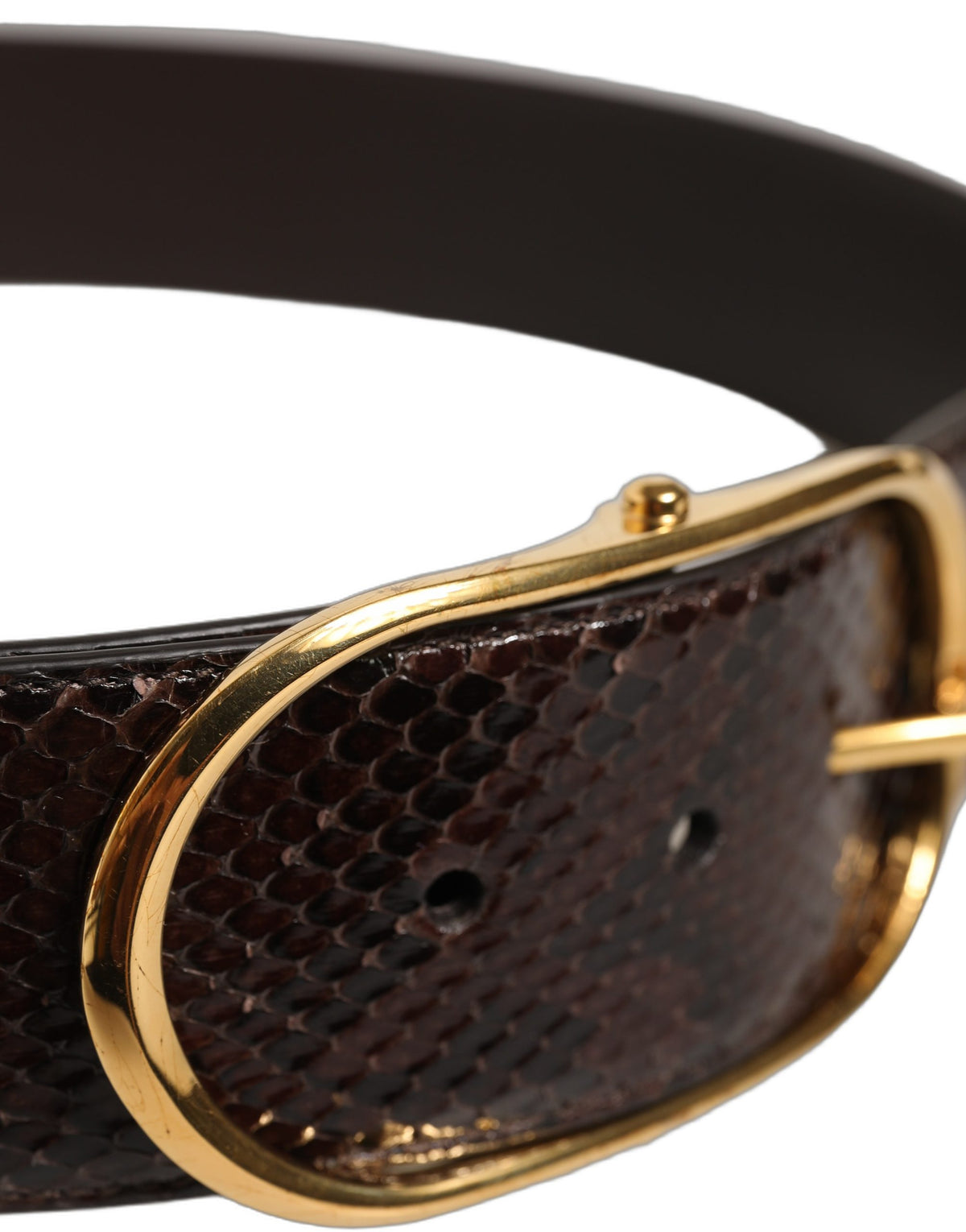 Dolce & Gabbana Brauner Pythonleder-Gürtel mit goldener Metallschnalle