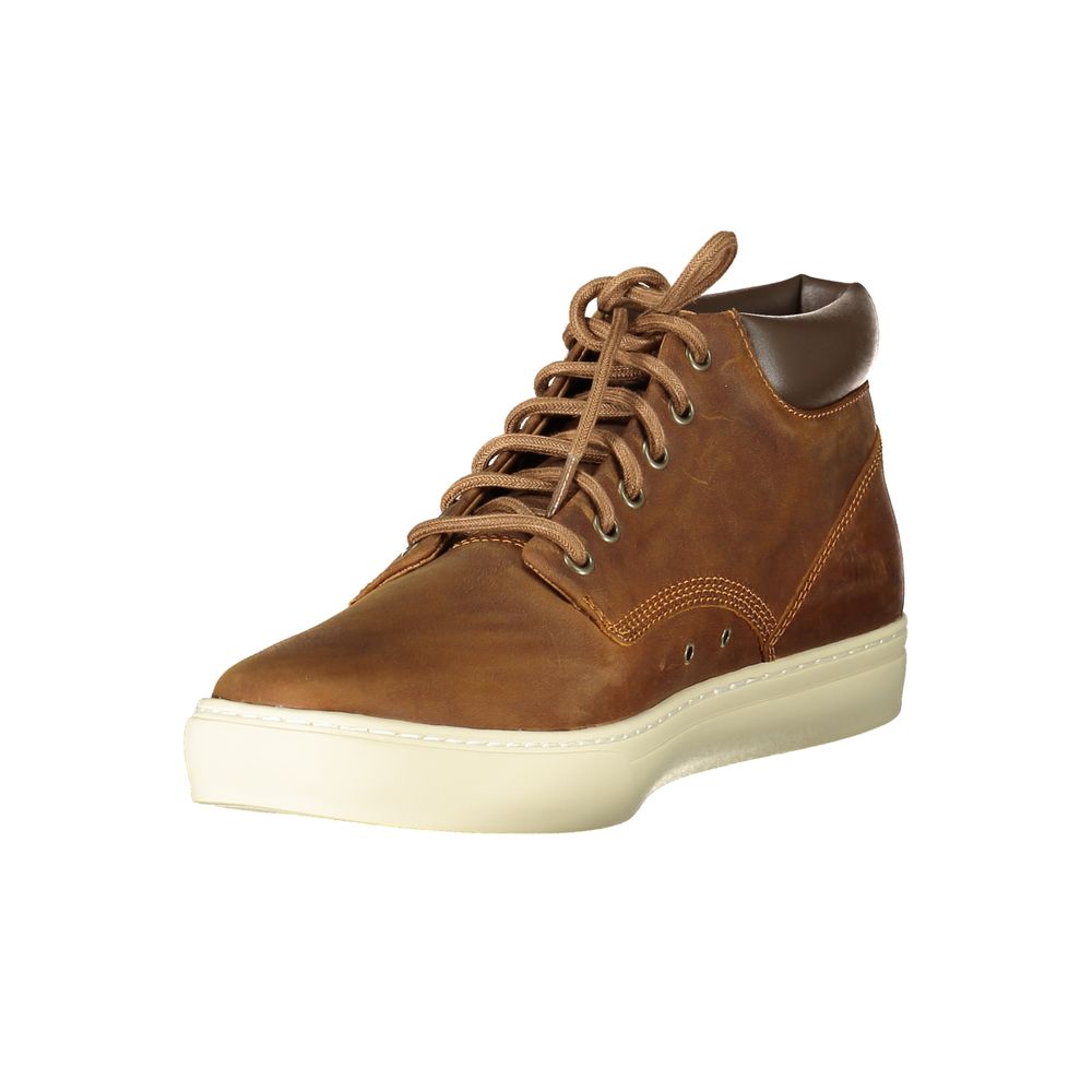 Timberland Marrone Synthetic Men Sneaker