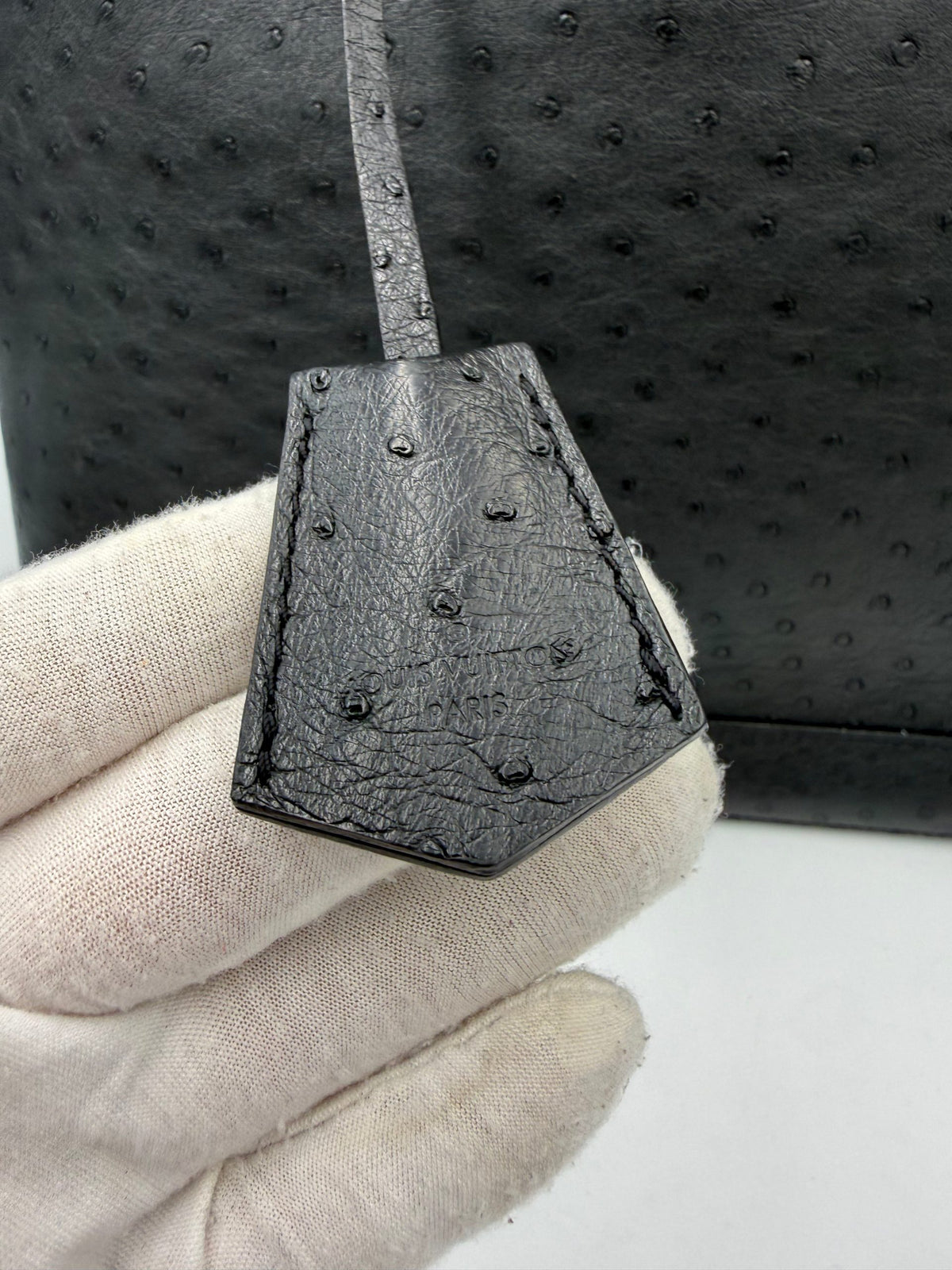 Louis Vuitton LOUIS VUITTON Alma GM in Ostrich Leather Handbag