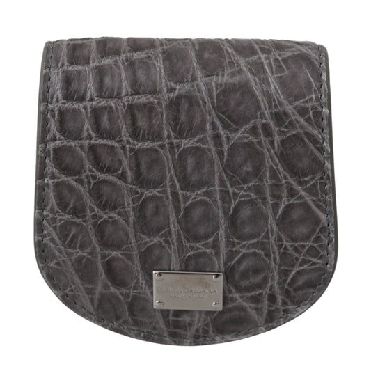 Dolce &amp; Gabbana Grau Exotic Skin Kondometui Halter Tasche Brieftasche