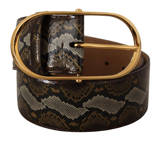 Dolce &amp; Gabbana Brauner Pythonledergürtel mit ovaler Schnalle und Gold