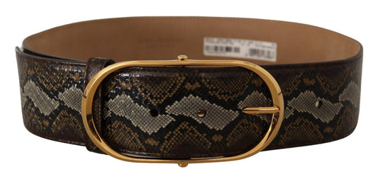 Dolce &amp; Gabbana Brauner Pythonledergürtel mit ovaler Schnalle und Gold