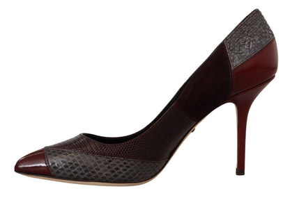 Dolce &amp; Gabbana Multicolor Exotic Leather Heels Pumps Schuhe