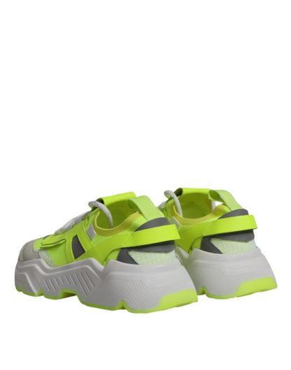 Dolce &amp; Gabbana Mehrfarbige Daymaster Low Top Sneakers Schuhe
