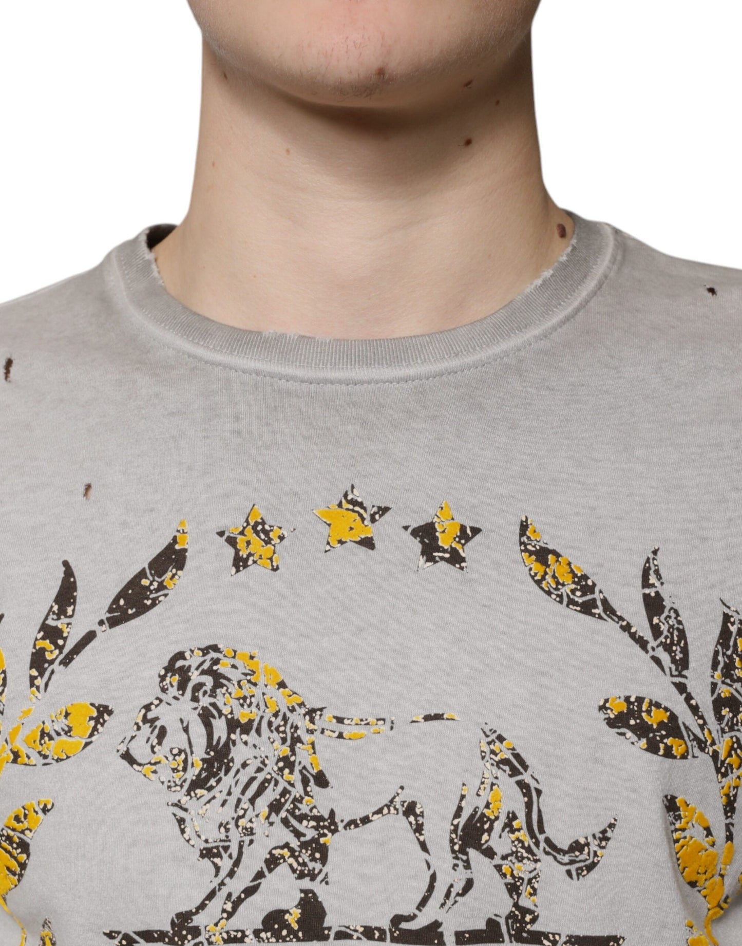 Dolce &amp; Gabbana Grau bedruckter Baumwollpullover mit Rundhalsausschnitt