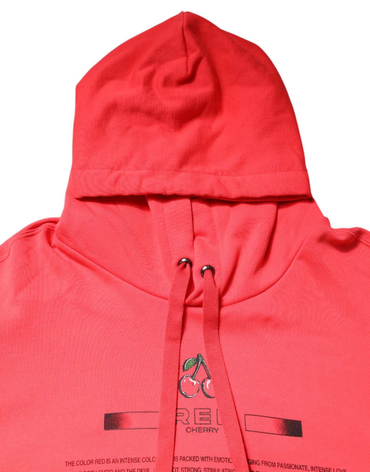 Dolce & Gabbana Red Logo Printed Hooded Sweatshirt Sweater