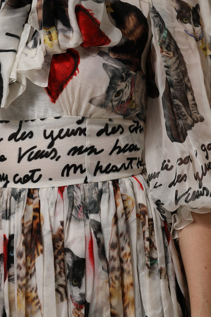 Dolce &amp; Gabbana Mehrfarbiges Ascot-Maxikleid aus Seide mit Animalprint