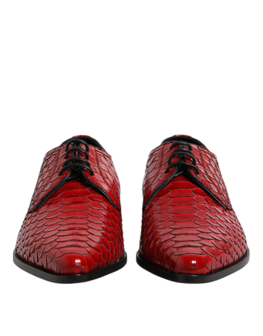 Dolce &amp; Gabbana – Rote Derby-Schuhe aus exotischem Leder zum Schnüren