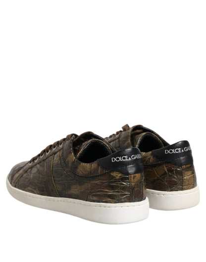 Dolce &amp; Gabbana Braune exotische Leder Low Top Sneakers Schuhe
