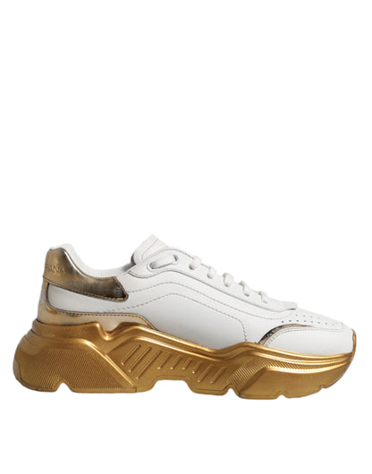Dolce &amp; Gabbana Daymaster Low Top Sneakers in Weißgold