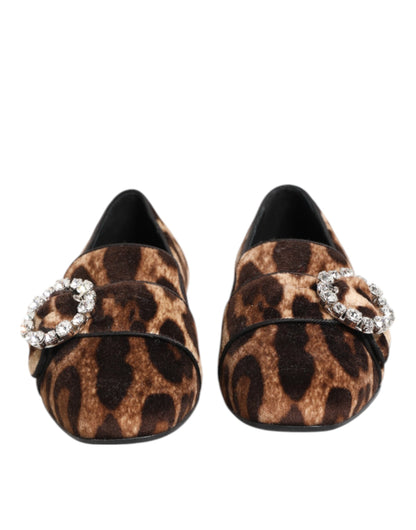 Dolce &amp; Gabbana – Loafer mit Kristallen in Braun mit Leopardenmuster