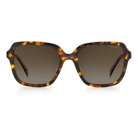 Polaroid – Braune Acetat-Sonnenbrille