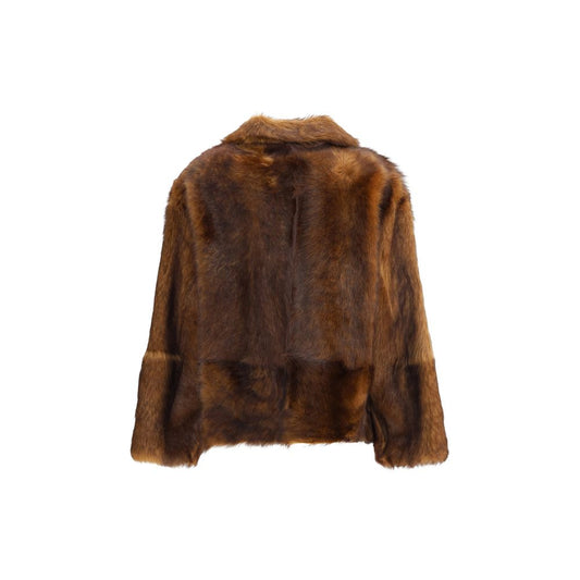 P.A.R.O.S.H. Brown Lamb Ovis Aries Aries Coat