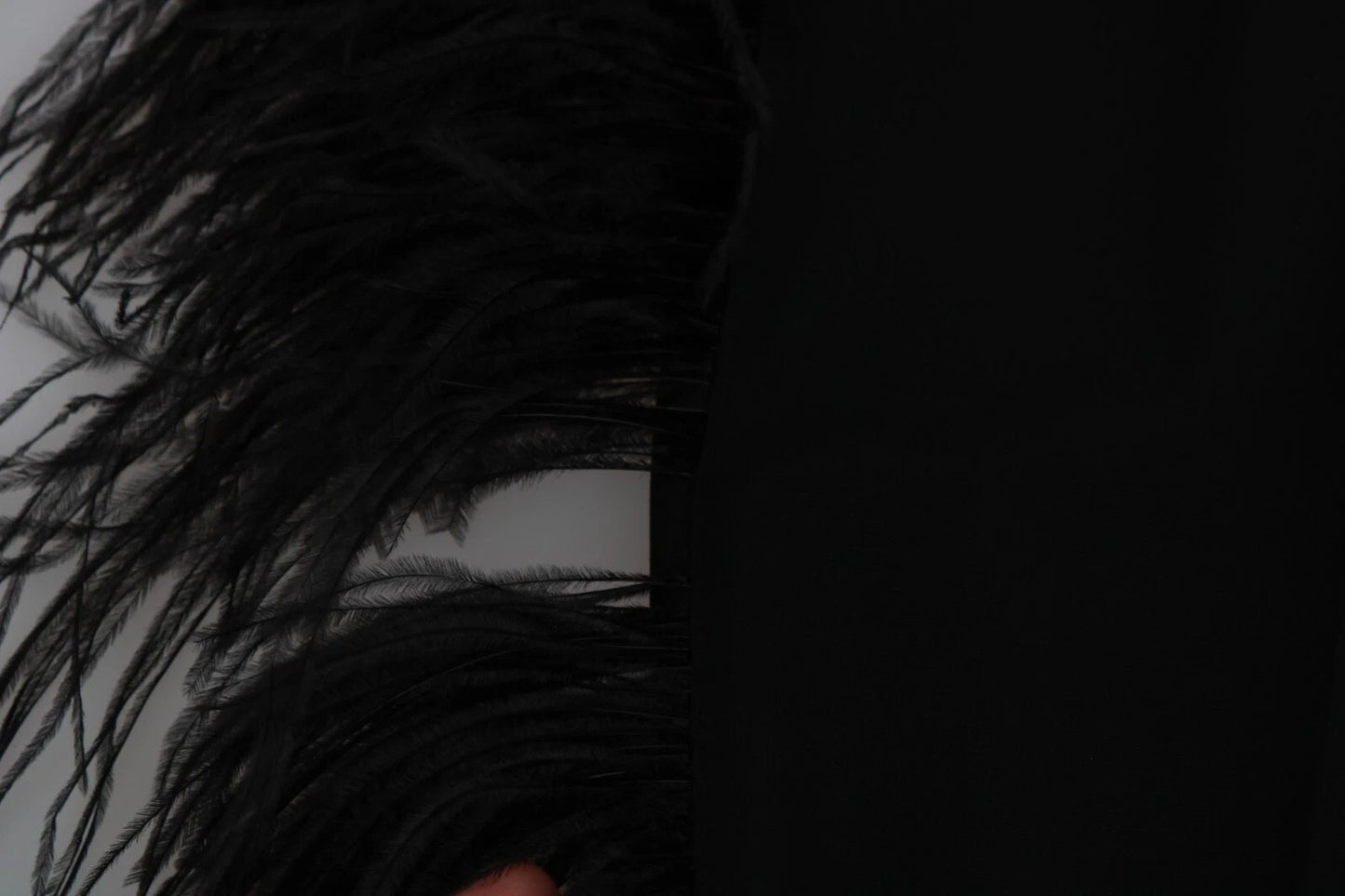 Dolce &amp; Gabbana Schwarze, gerade Hose mit hoher Taille und Federn