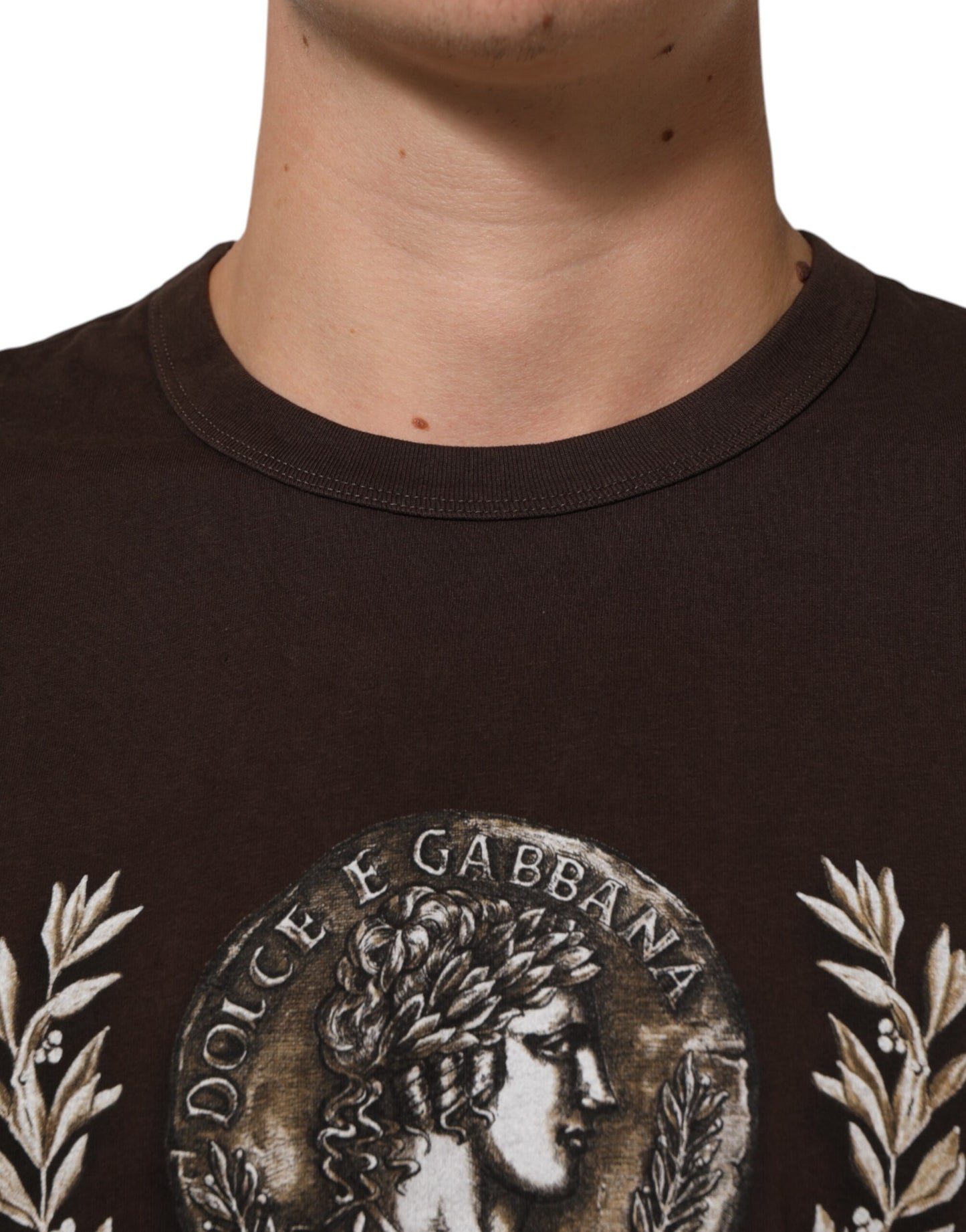 Dolce &amp; Gabbana – Braunes T-Shirt mit Rundhalsausschnitt und Lorbeer-Print für Herren