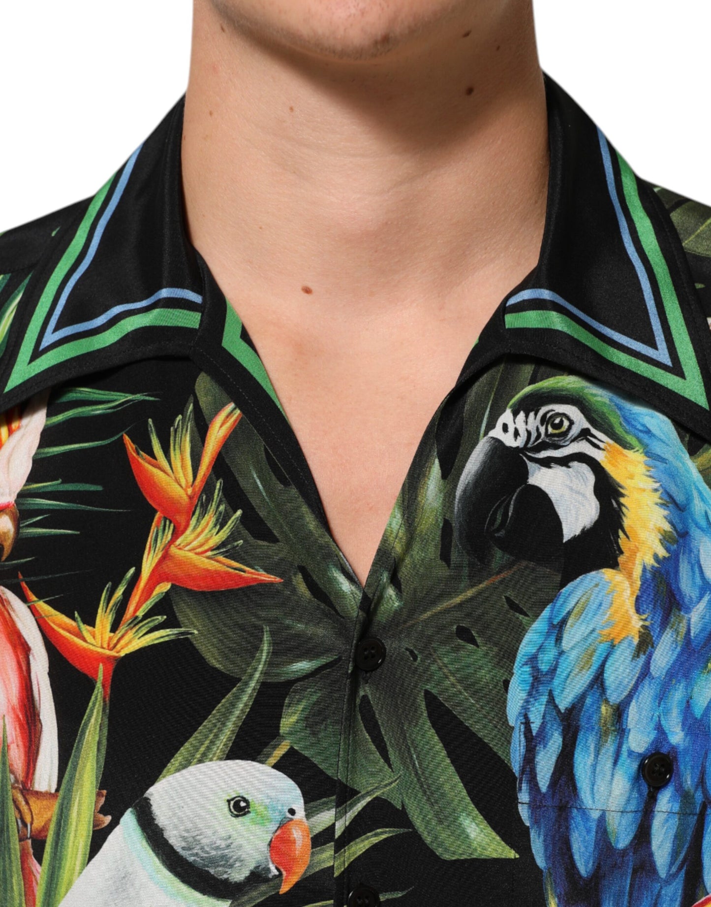 Dolce &amp; Gabbana – Mehrfarbiges Freizeithemd mit Papageien-Print